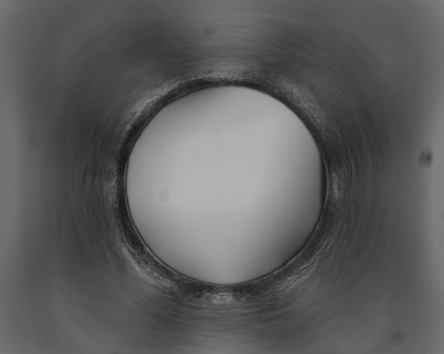 X0000091070588200708271217