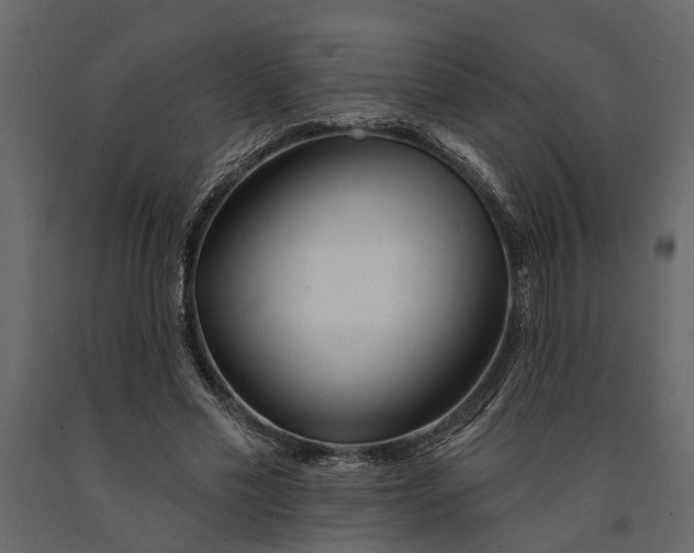 X0000091070589200708271217