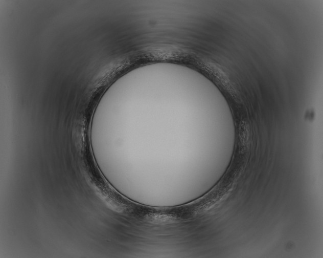 X0000091070590200708271217