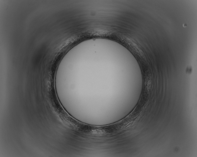 X0000091070591200708271217