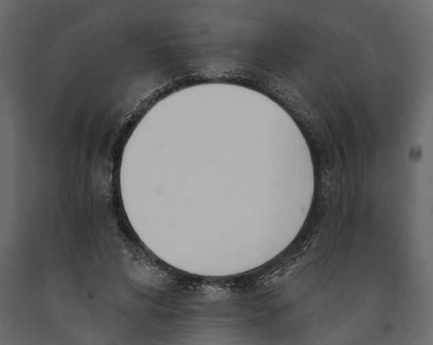 X0000091070592200708271217