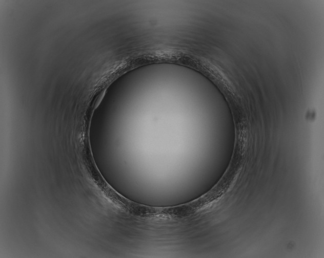 X0000091070593200708271217