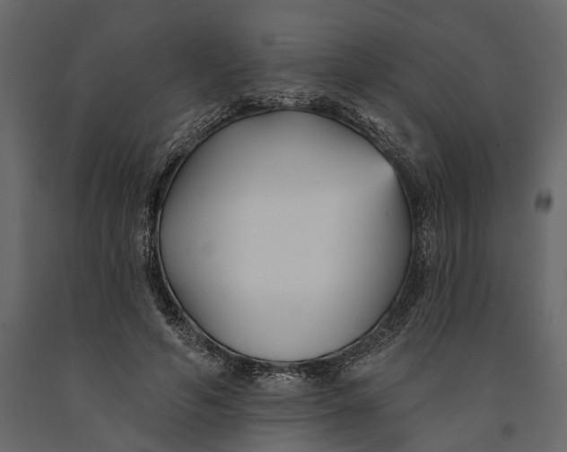 X0000091070594200708271217