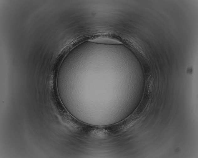 X0000091070595200708271217