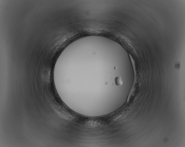 X0000091070596200708271217