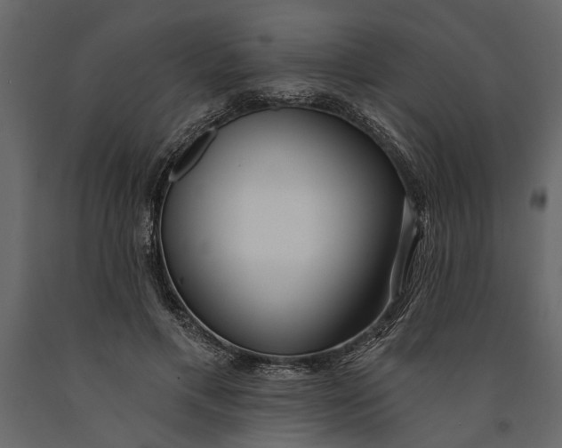 X0000091070597200708271217