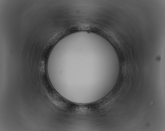 X0000091070598200708271217