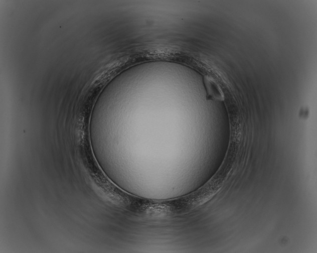 X0000091070599200708271217