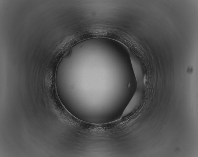 X0000091070600200708271217