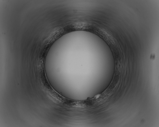 X0000091070601200708271217