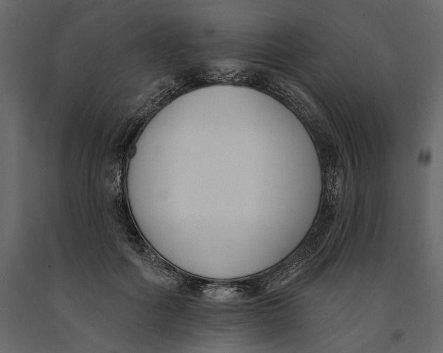 X0000091070602200708271217