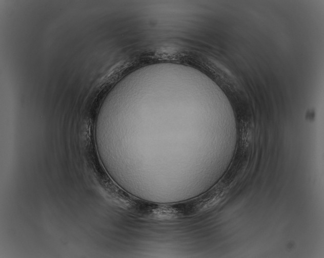 X0000091070603200708271217