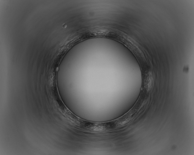 X0000091070604200708271217