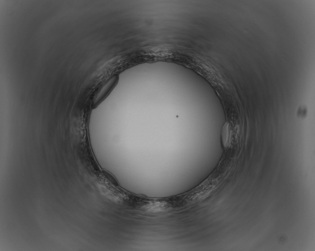 X0000091070609200708271217