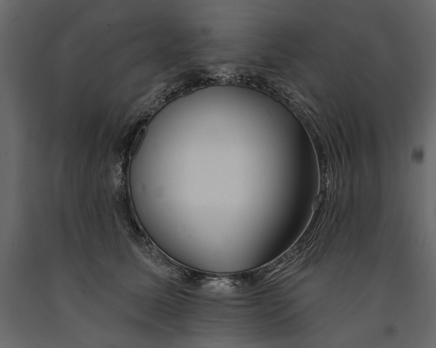 X0000091070611200708271217