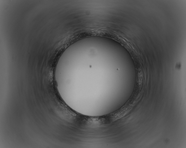X0000091070613200708271217