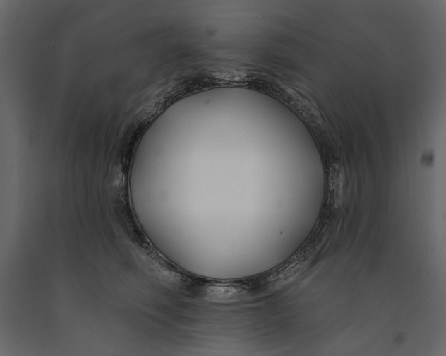 X0000091070614200708271217