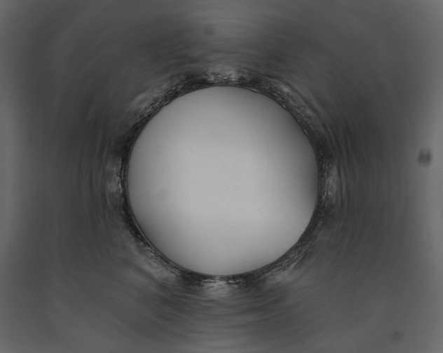 X0000091070616200708271217