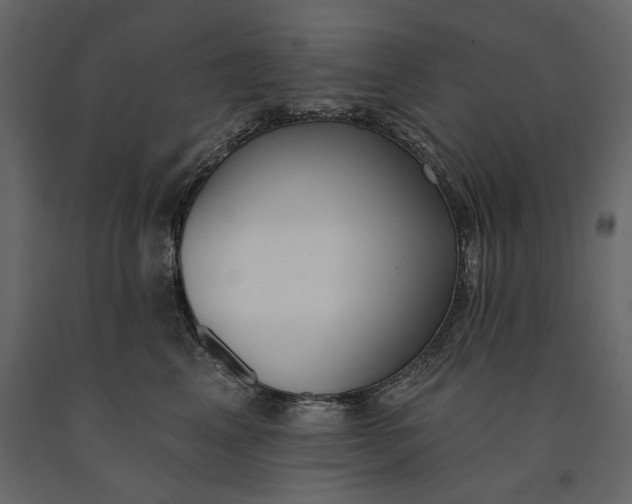 X0000091070617200708271217