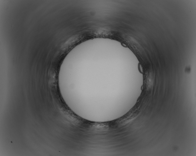 X0000091070619200708271217