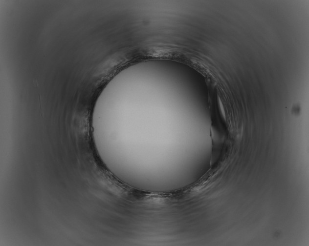 X0000091070620200708271217