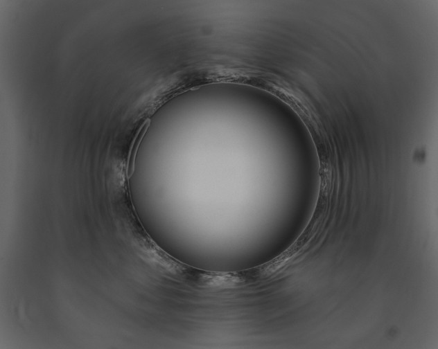X0000091070621200708271217