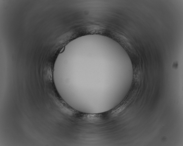 X0000091070622200708271217