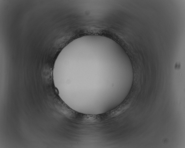 X0000091070624200708271217