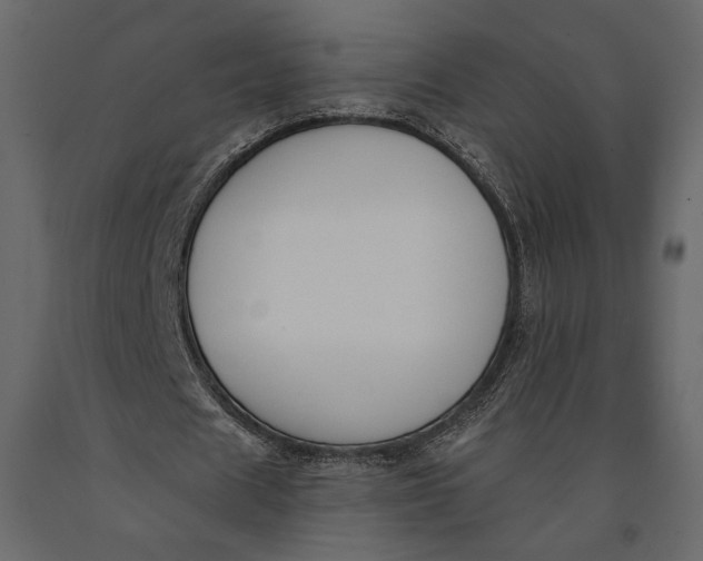 X0000091070625200708271216
