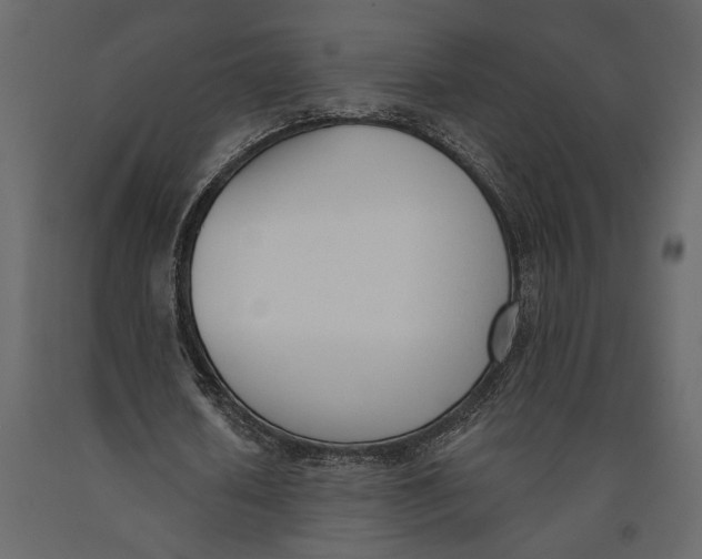 X0000091070626200708271216