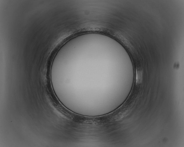 X0000091070627200708271216