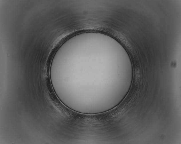 X0000091070628200708271216