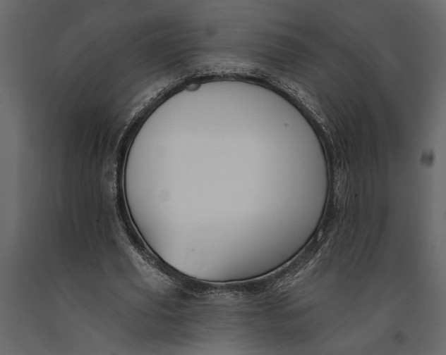 X0000091070629200708271216