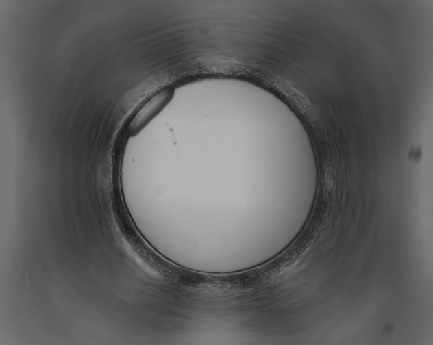 X0000091070630200708271216