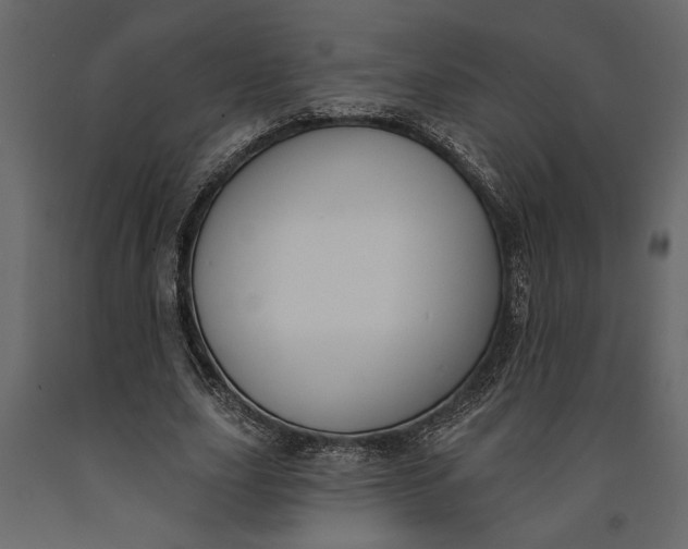 X0000091070631200708271216