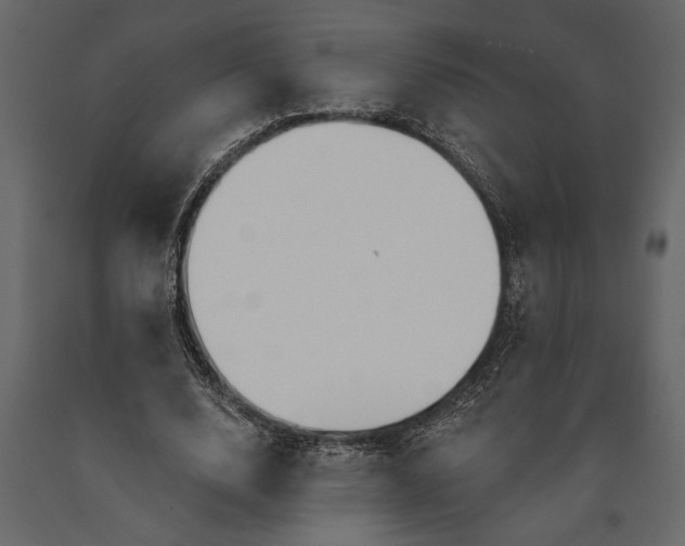 X0000091070632200708271217