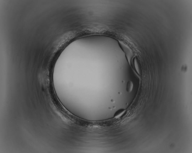 X0000091070634200708271217