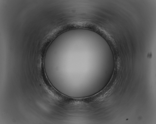 X0000091070637200708271217