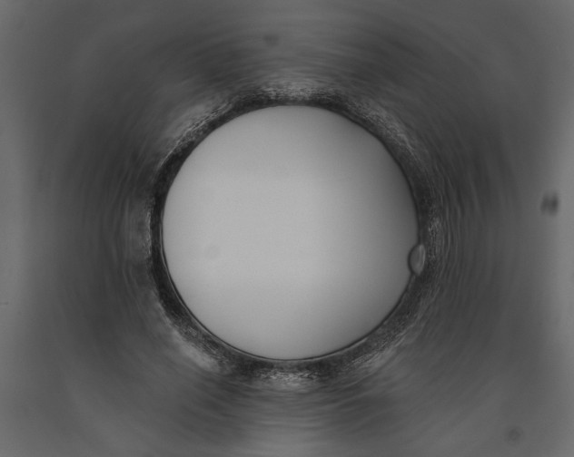 X0000091070638200708271217