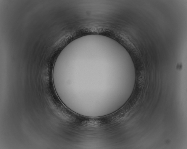 X0000091070639200708271217