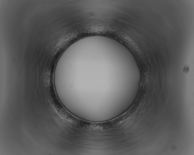 X0000091070640200708271217