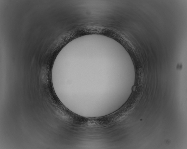 X0000091070641200708271217