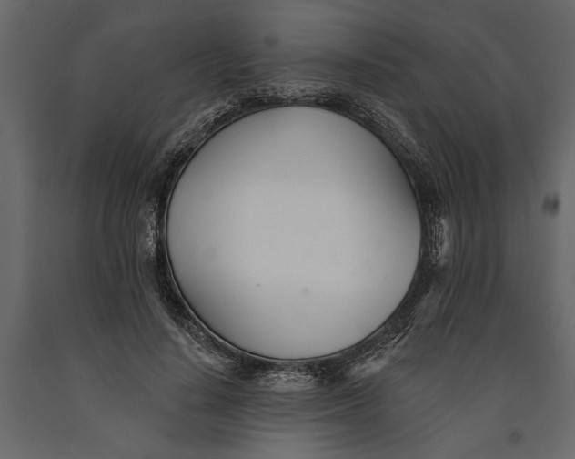 X0000091070644200708271217