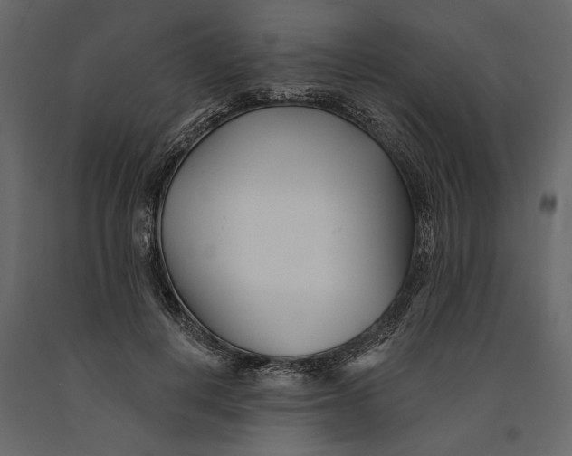 X0000091070648200708271217