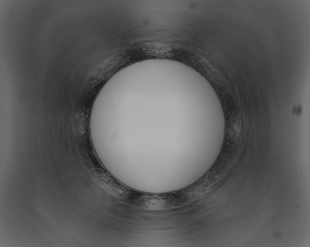 X0000091070658200708271217