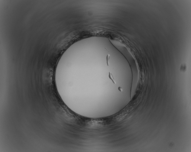 X0000091070664200708271217