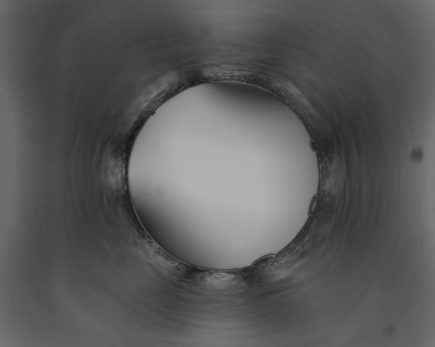 X0000091070669200708271217