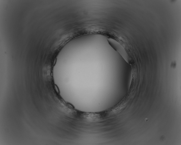 X0000091070670200708271217