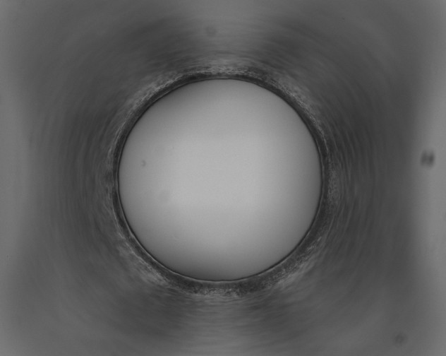 X0000091070673200708271216