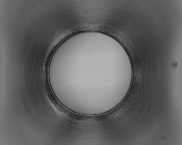 X0000091070674200708271216